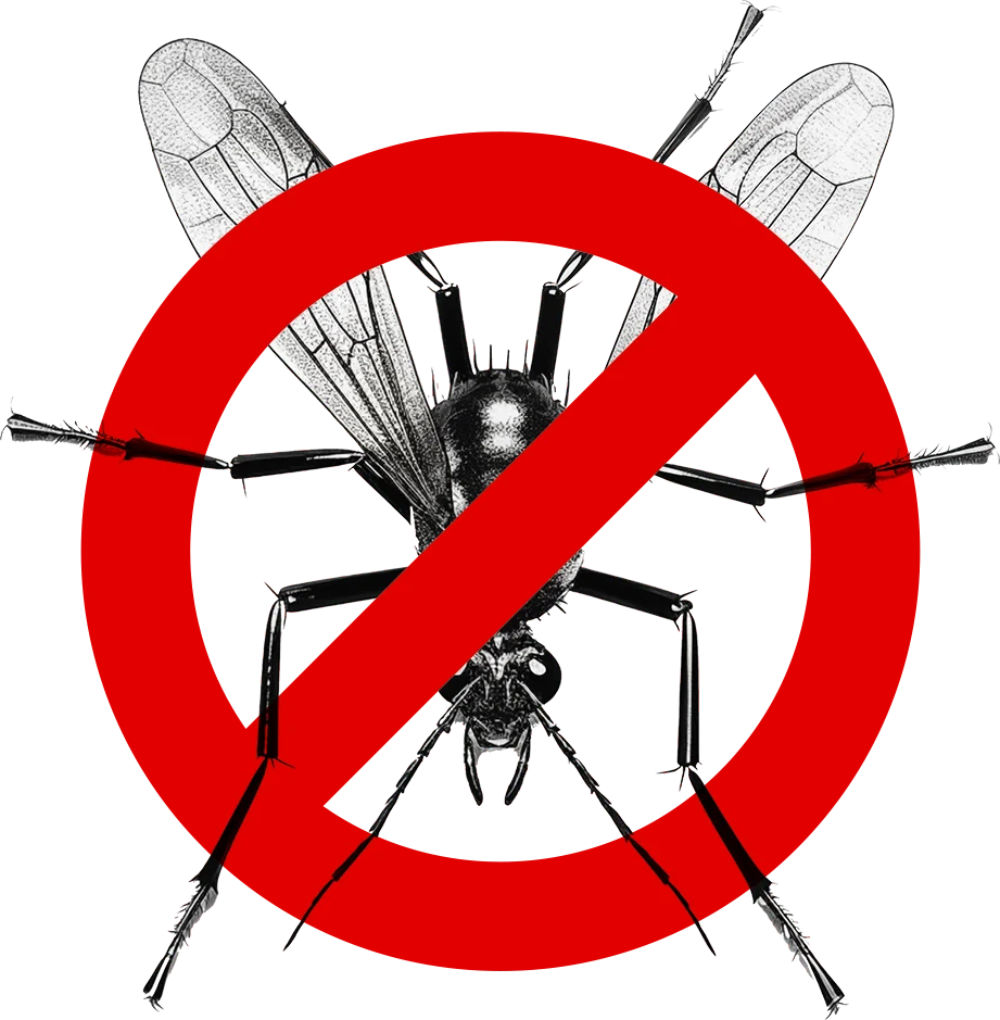 Control de Plagas Málaga | Rápido y Calidad - Control de Plagas Málaga