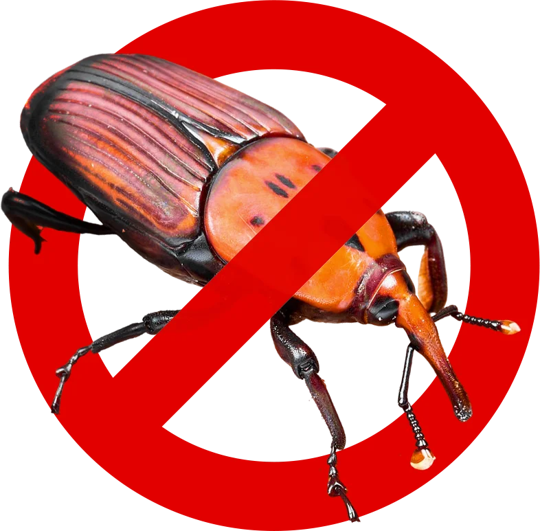 Control de Plagas Málaga | Rápido y Calidad - Control de Plagas Málaga