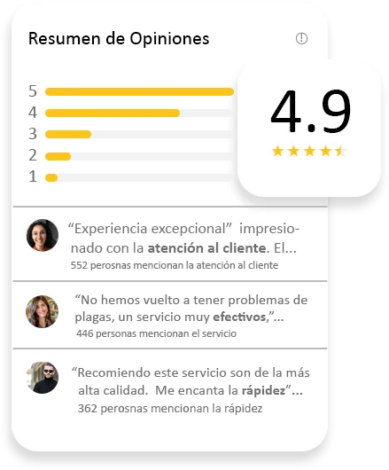 Control de Plagas Málaga | Rápido y Calidad - Control de Plagas Málaga